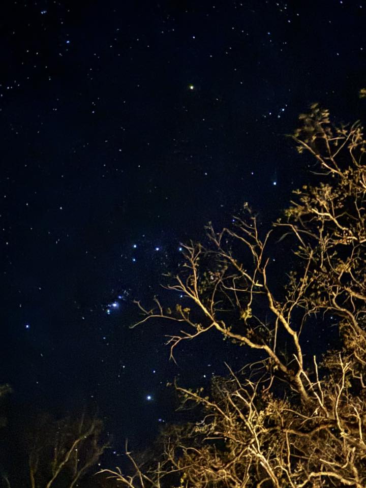 the stars David and Kayla danced under