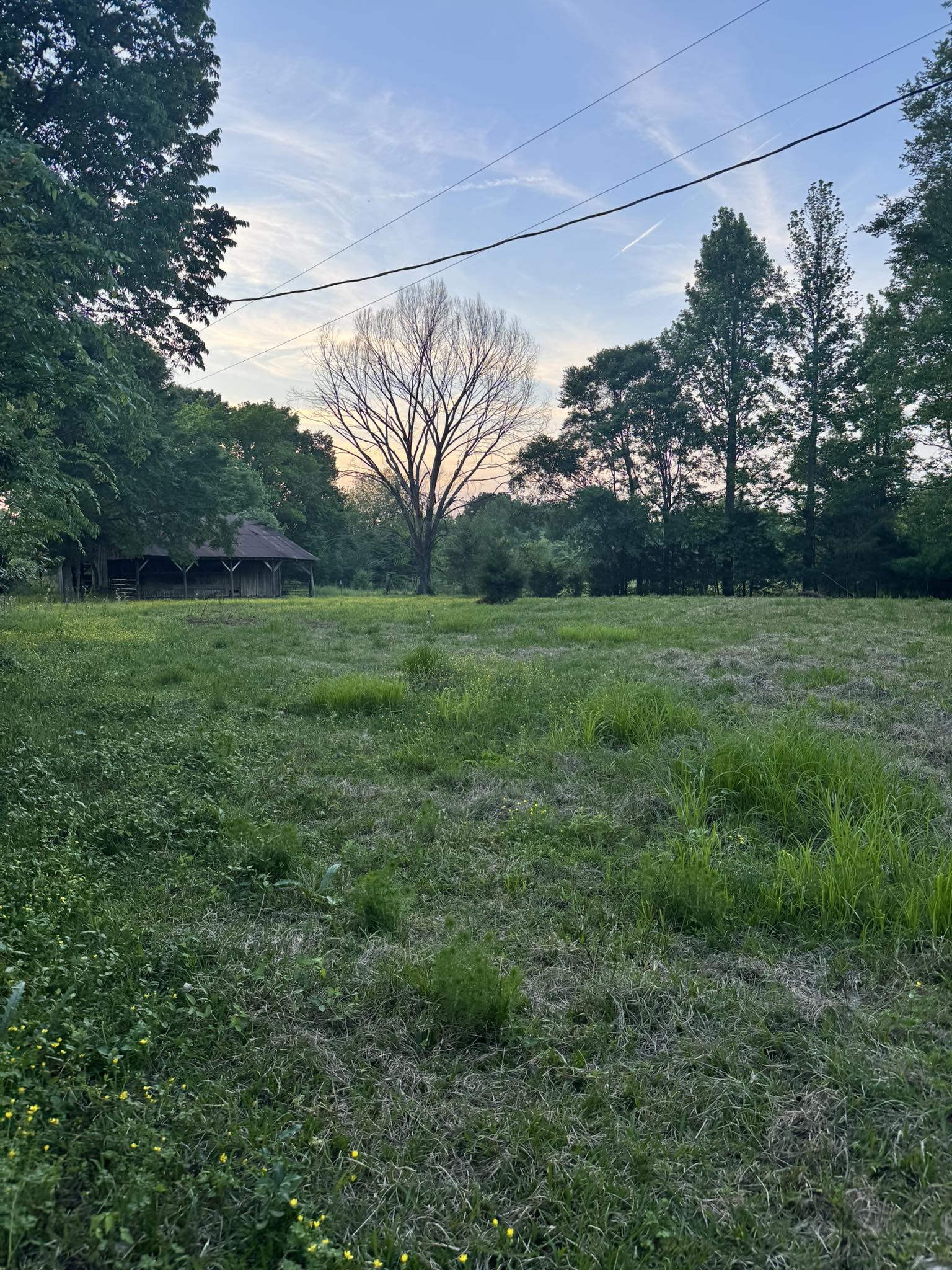 portrait of the pasture and barn