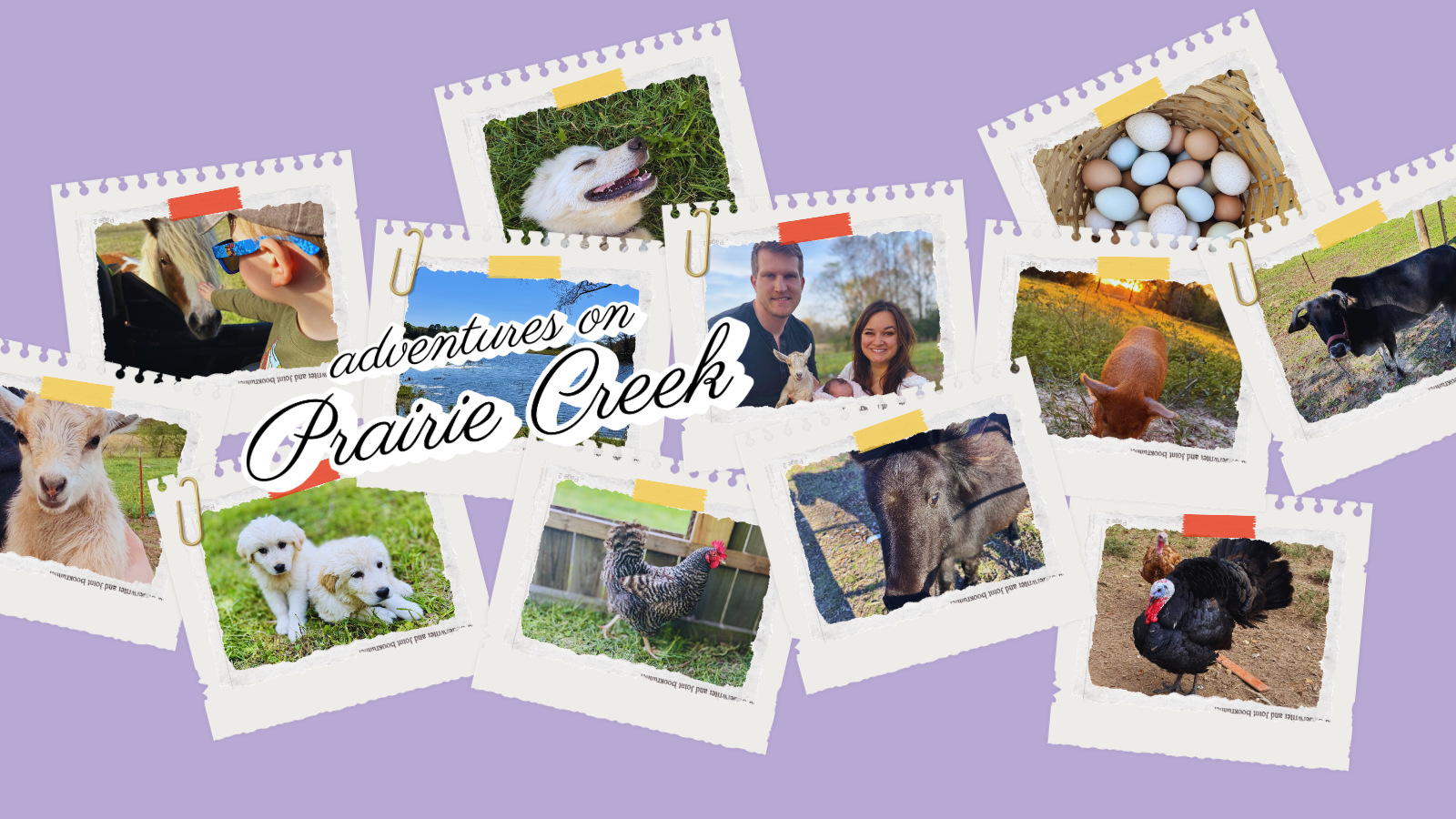 David, Kayla, Savannah at the Farmers' Market Spring 2026